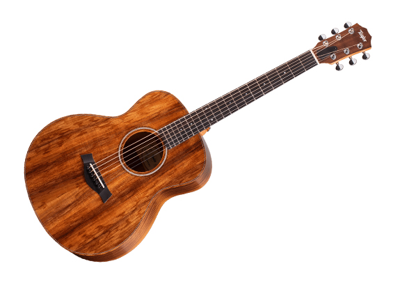 泰勒 I GS-Mini-e-Koa